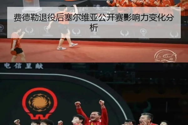 fei-de-lei-tui-yi-hou-sai-er-wei-ya-gong-kai-sai-ying-xiang-li-bian-hua-fen-xi-2-827.jpg